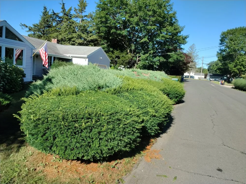 Expert yard cleanup service for year-round maintenance in Bradford, RI by Mow to Snow Property Management