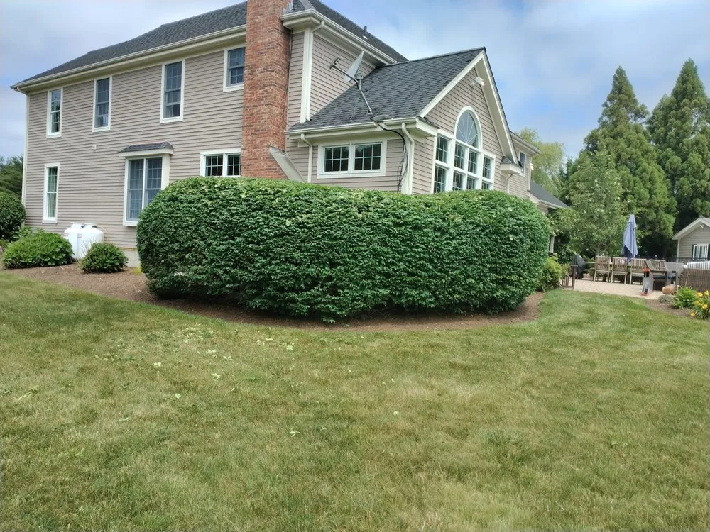 Trusted yard cleanup service for residential properties across Bradford, RI - Mow to Snow Property Management