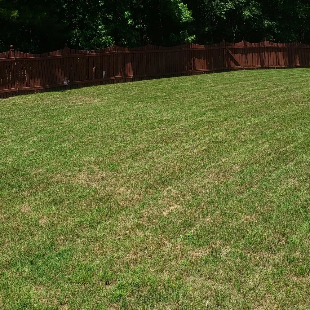 Affordable residential landscaping for year-round maintenance in Villa Rica, GA by Mow-Town Hustler Lawn Service
