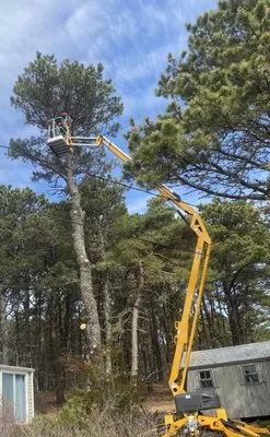 Mow-Town Landscaping & Tree Service