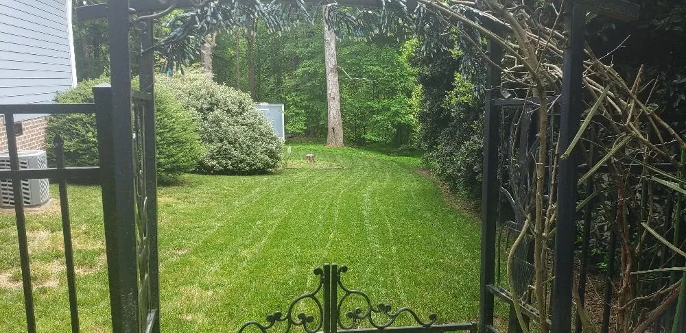 Custom lawn care service for year-round maintenance across Durham, NC - Mow-Town Lawn Care & Maintenance