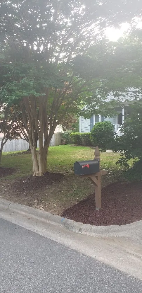 Top-rated landscaping services for year-round maintenance across Durham, NC - Mow-Town Lawn Care & Maintenance