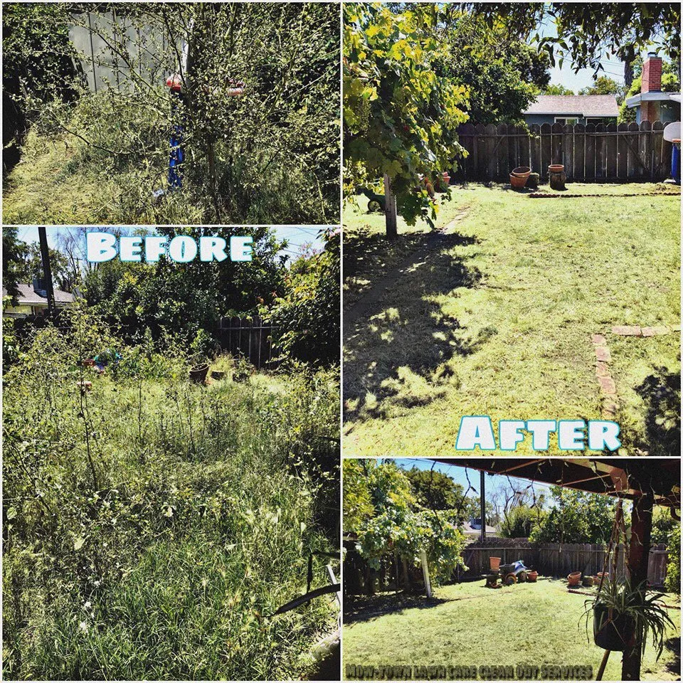 Reliable outdoor landscaping experts serving Modesto, CA - Mow-Town Lawn Care and Clean-out services