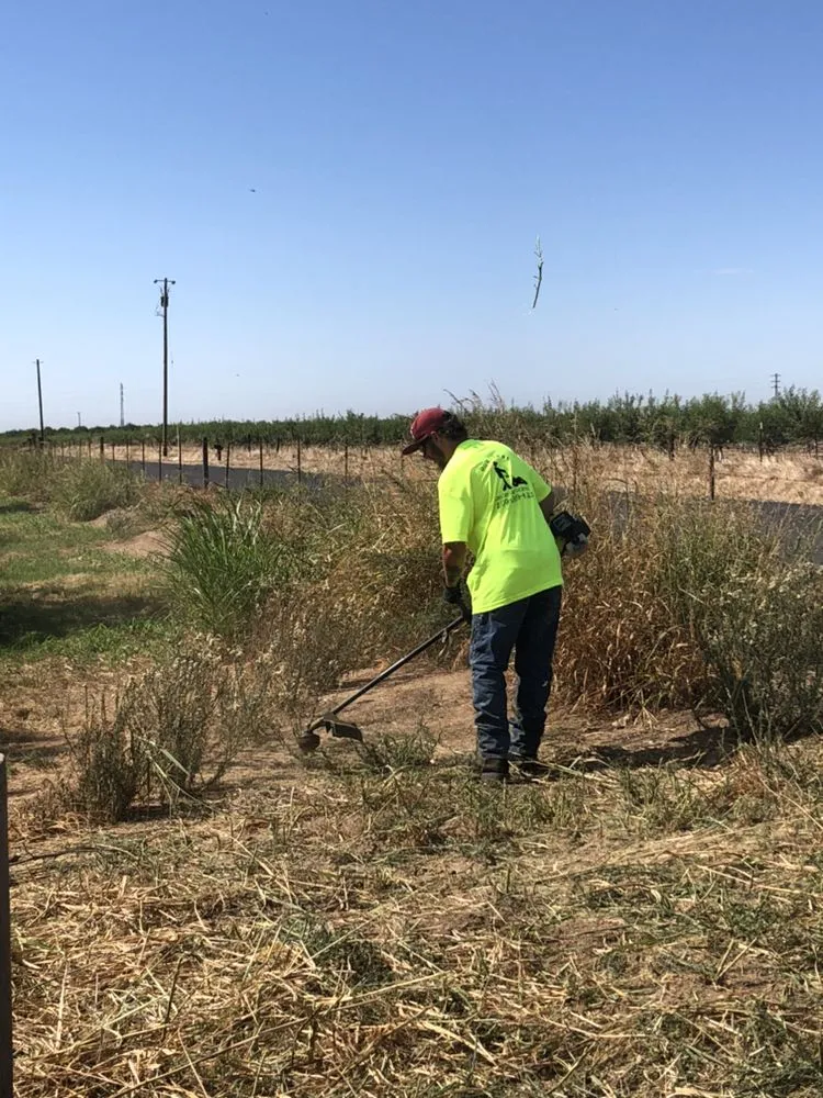 Affordable lawn mowing service in Modesto, CA - Mow-Town Lawn Care and Clean-out services