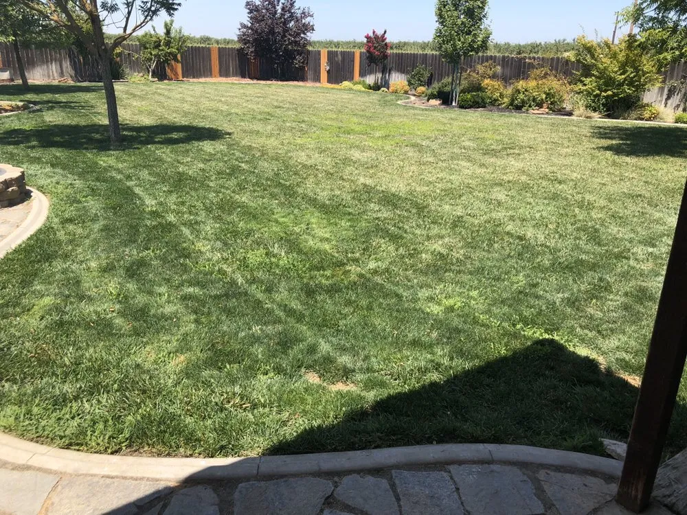 Professional outdoor landscaping for residential properties in Modesto, CA by Mow-Town Lawn Care and Clean-out services