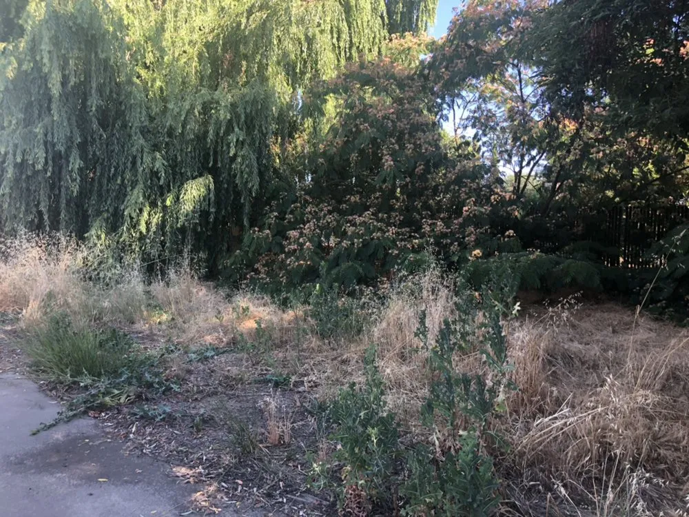 Top-rated yard maintenance in Modesto, CA by Mow-Town Lawn Care and Clean-out services