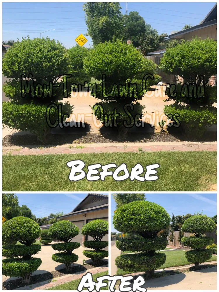 Expert garden landscaping with custom design across Modesto, CA - Mow-Town Lawn Care and Clean-out services