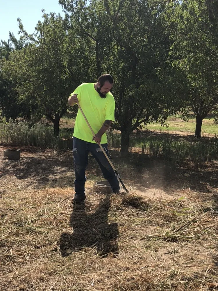 Local landscaping services in Modesto, CA by Mow-Town Lawn Care and Clean-out services