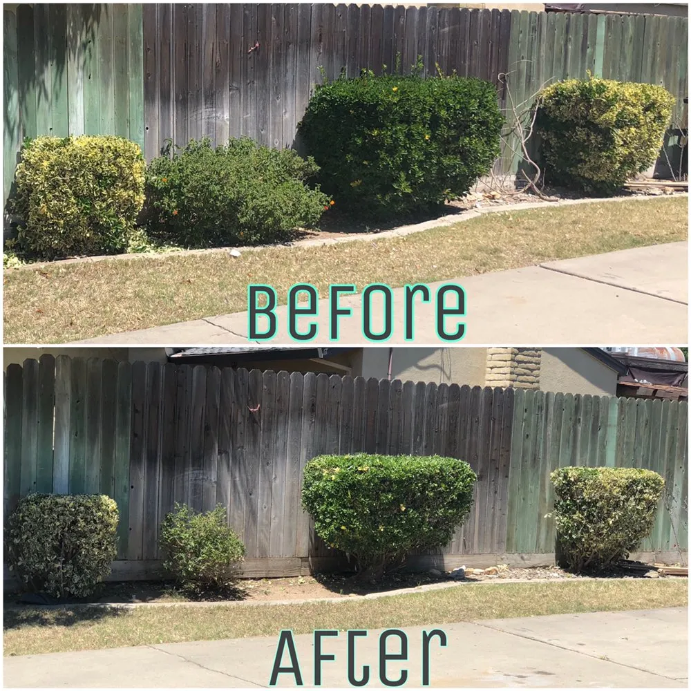 Expert landscape installation for outdoor upgrades across Modesto, CA - Mow-Town Lawn Care and Clean-out services