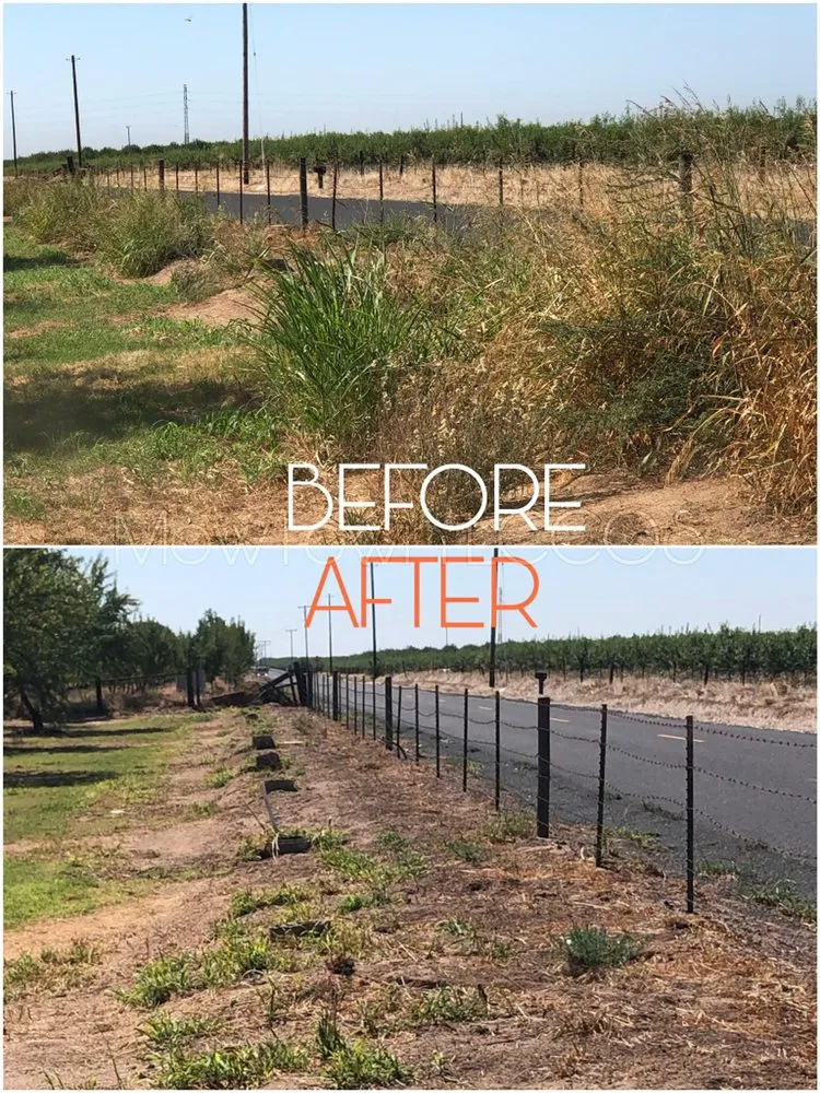 Expert landscape design in Modesto, CA - Mow-Town Lawn Care and Clean-out services