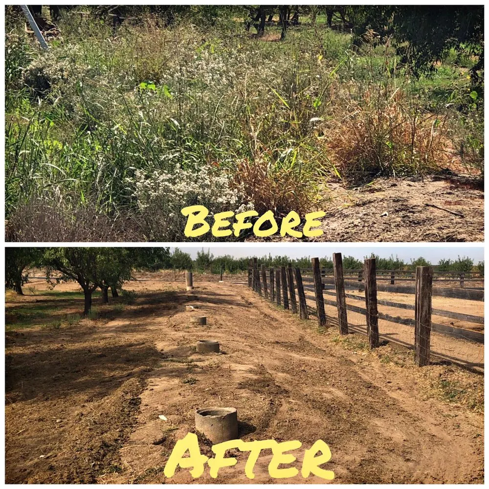 Trusted outdoor landscaping in Modesto, CA by Mow-Town Lawn Care and Clean-out services