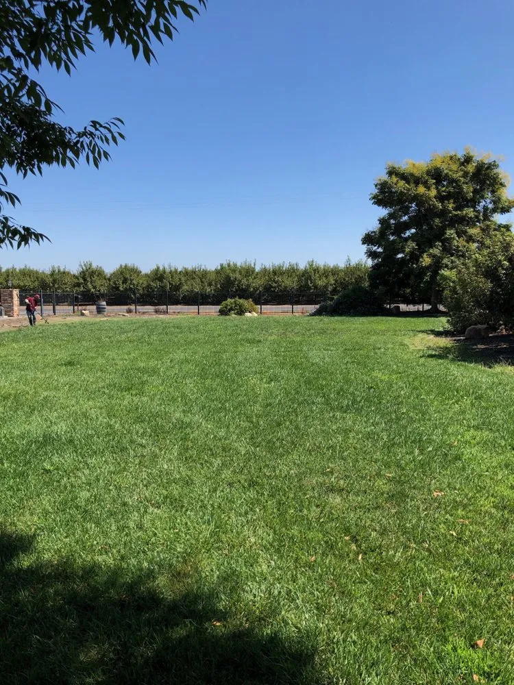 Trusted landscaping services experts serving Modesto, CA - Mow-Town Lawn Care and Clean-out services