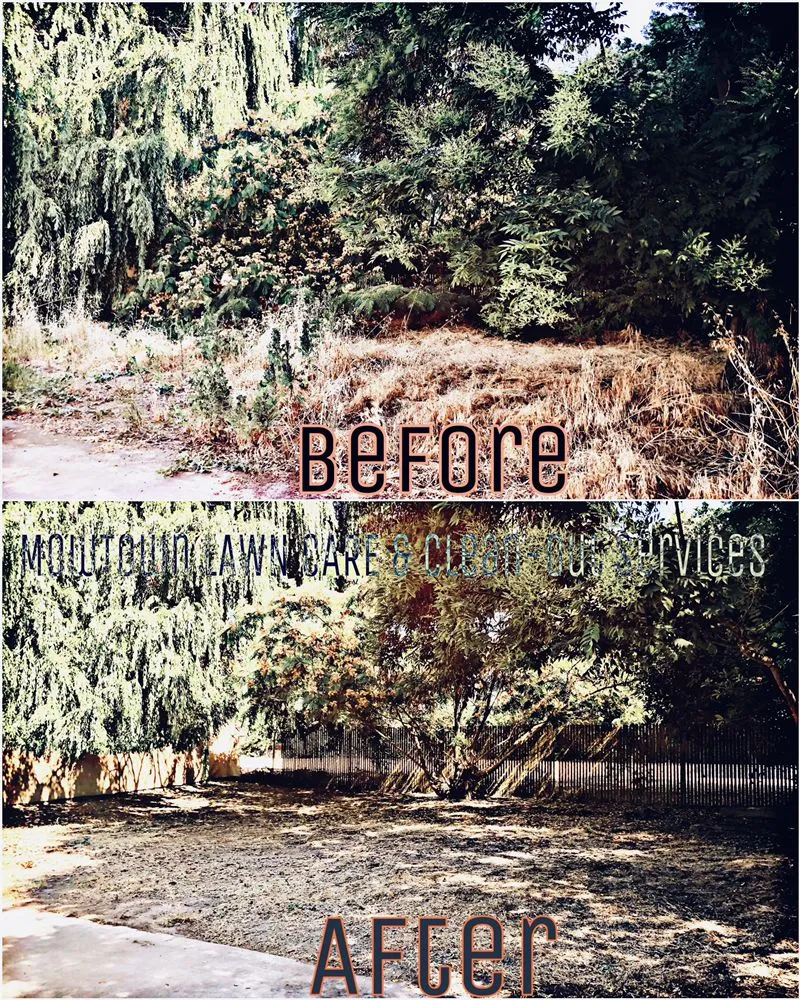 Custom lawn care service experts serving Modesto, CA - Mow-Town Lawn Care and Clean-out services