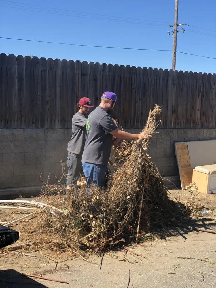 Expert landscape installation in Modesto, CA by Mow-Town Lawn Care and Clean-out services
