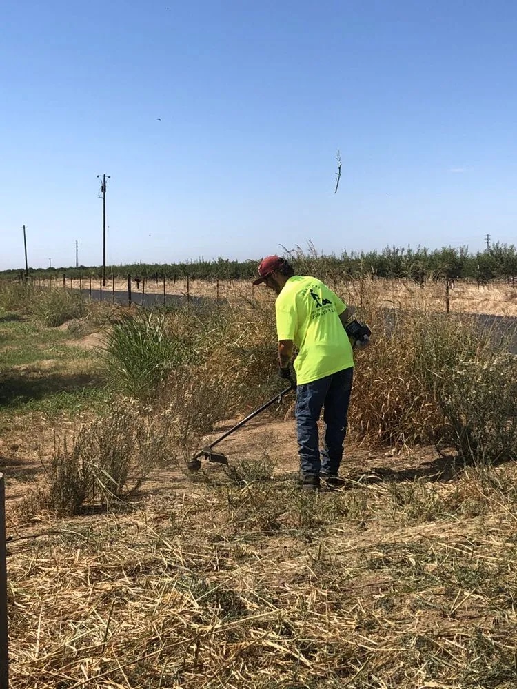Custom landscape installation for residential properties in Modesto, CA by Mow-Town Lawn Care and Clean-out services