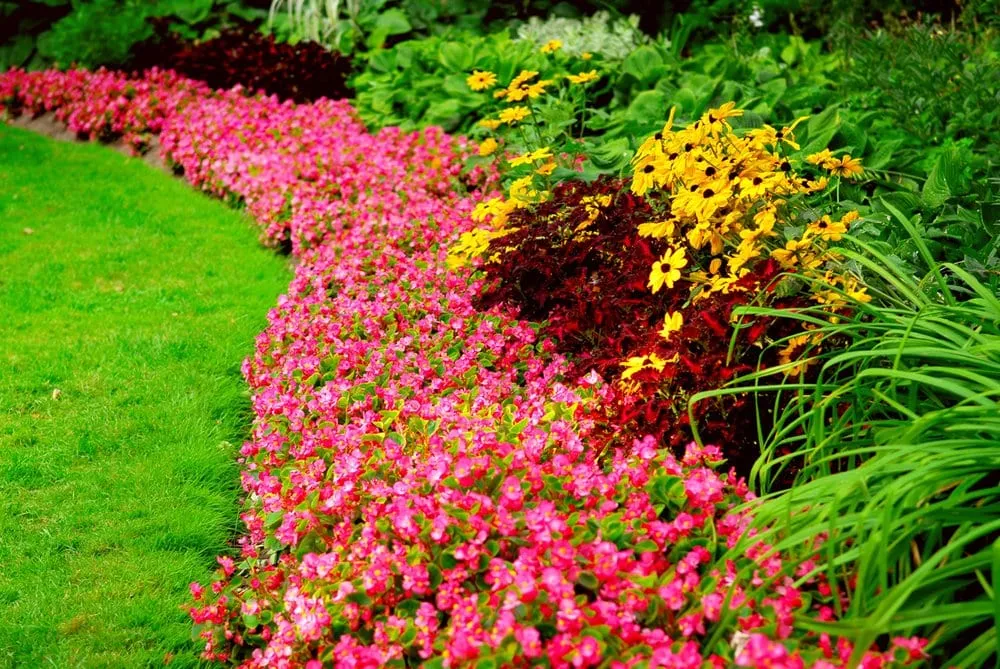 Expert landscaping services in Salem, OR by Mow Town Lawn Care