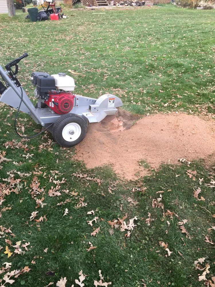 Local landscaping services for beautiful yards in McFarland, WI by Mow Town Lawn Pros