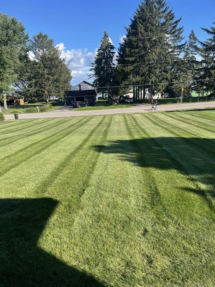 Trusted landscaping services in McFarland, WI - Mow Town Lawn Pros
