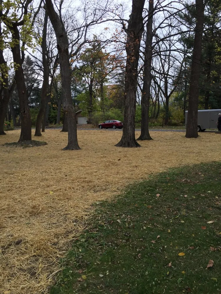 Professional yard maintenance near you in McFarland, WI by Mow Town Lawn Pros