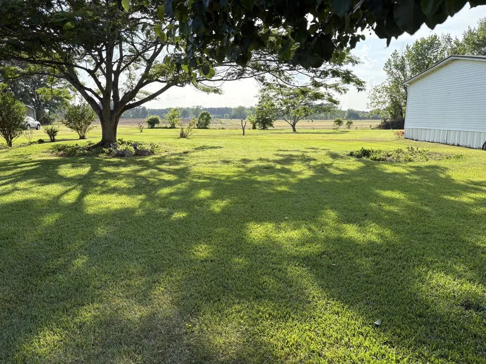 Reliable lawn mowing service in Four Oaks, NC - Mow Town Lawn Service