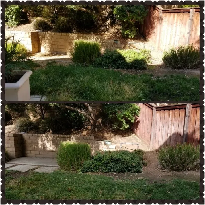 Professional residential landscaping in Moreno Valley, CA by Mow-Val Lawn Care