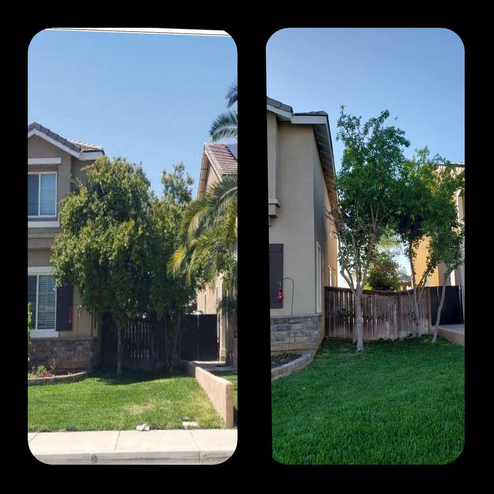 Affordable yard cleanup service with custom design across Moreno Valley, CA - Mow-Val Lawn Care