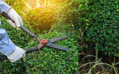 Trusted landscaping services in Moreno Valley, CA by Mow-Val Lawn Care