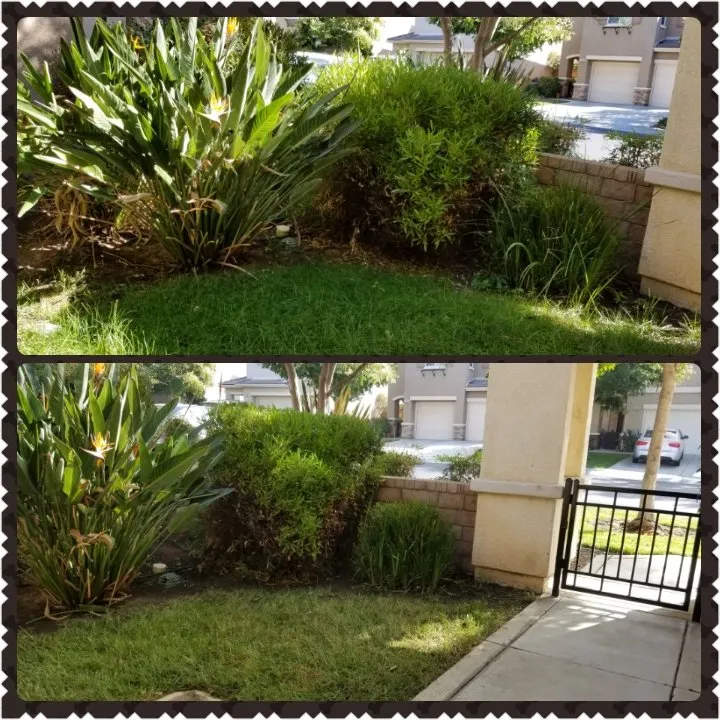 Custom yard cleanup service for homes in Moreno Valley, CA by Mow-Val Lawn Care