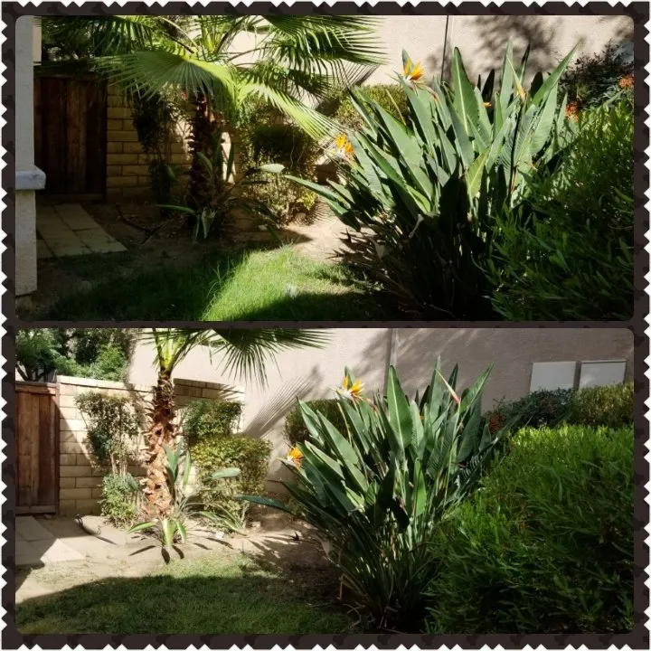 Top-rated garden landscaping for residential properties in Moreno Valley, CA by Mow-Val Lawn Care