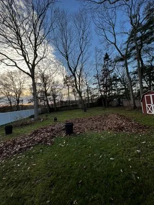 Mow Wack And Blow Lawn Care