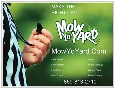Reliable residential landscaping for year-round maintenance in Lexington, KY by Mow Yo Yard
