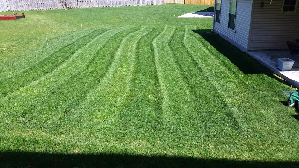 Trusted yard cleanup service in Lexington, KY - Mow Yo Yard