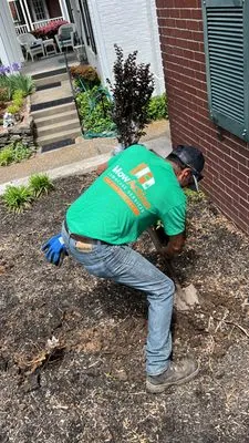 MowAction Lawn Care Services Logo