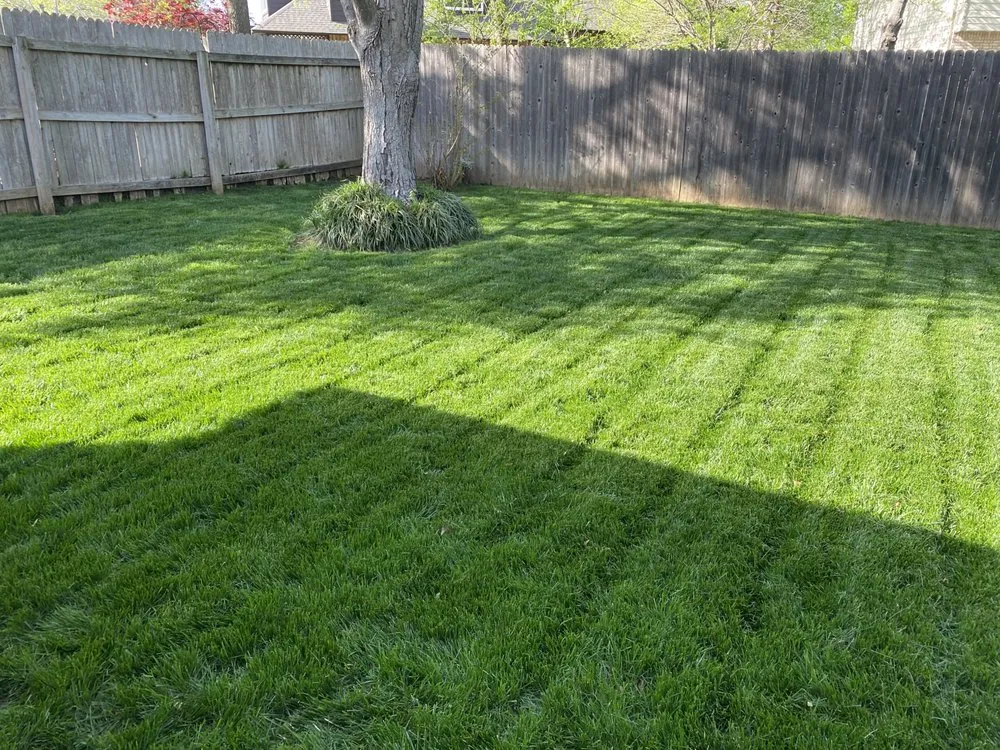 Custom yard cleanup service in Broken Arrow, OK - Mowaholics Lawncare
