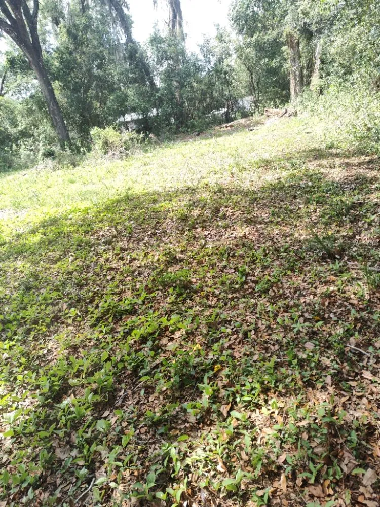 Affordable outdoor landscaping for year-round maintenance across Dade City, FL - Mowandfleet Express Service