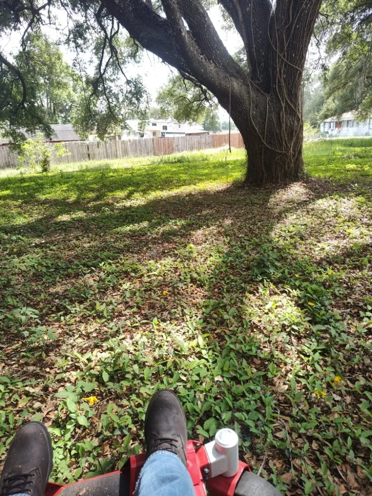 Top-rated garden landscaping in Dade City, FL by Mowandfleet Express Service