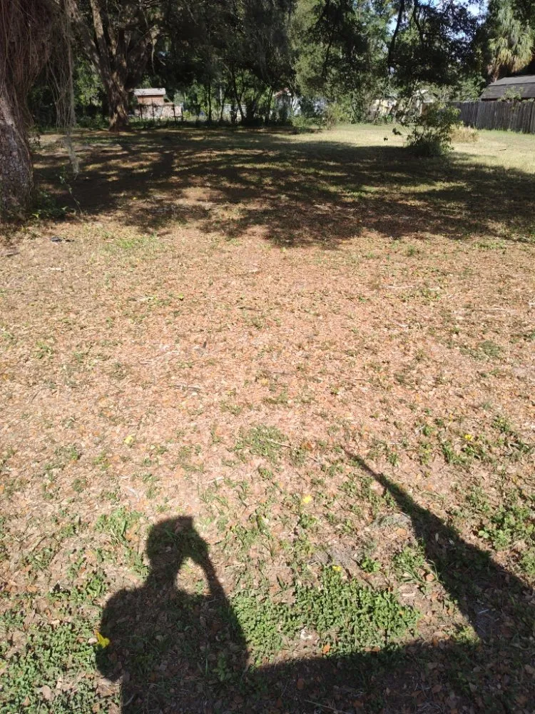 Reliable landscaping services in Dade City, FL - Mowandfleet Express Service