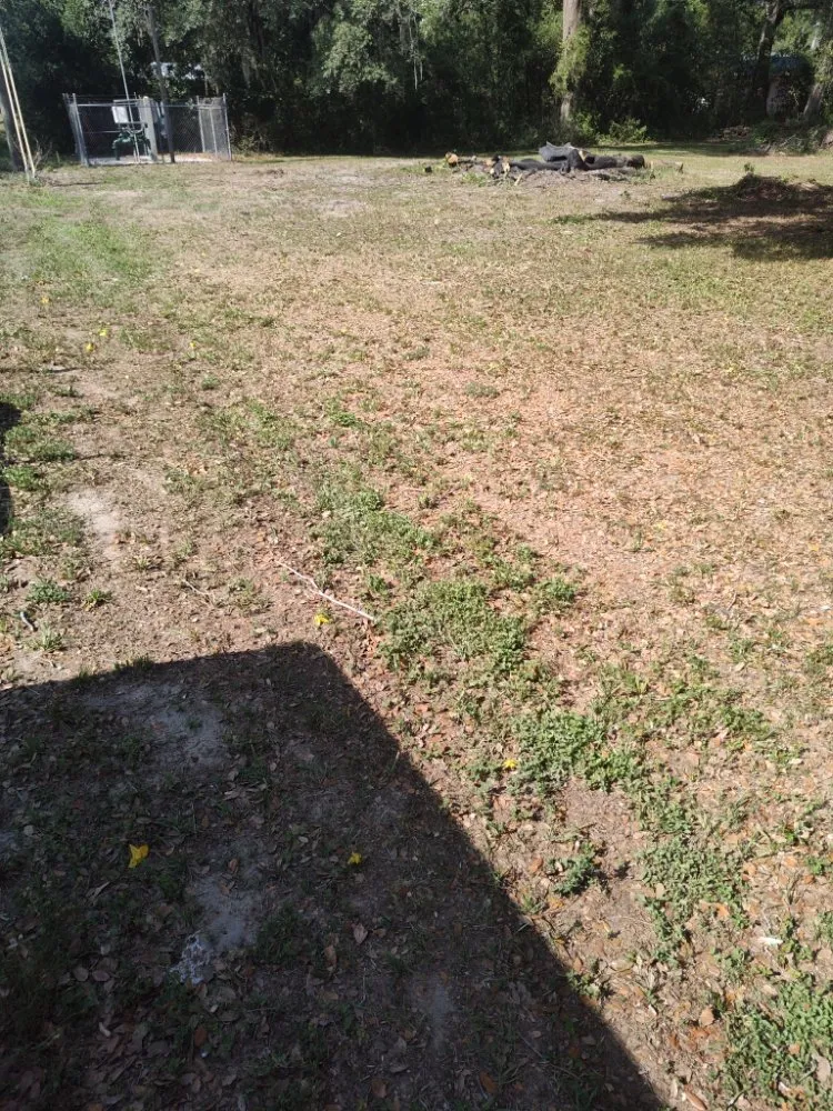 Reliable yard cleanup service near you in Dade City, FL by Mowandfleet Express Service