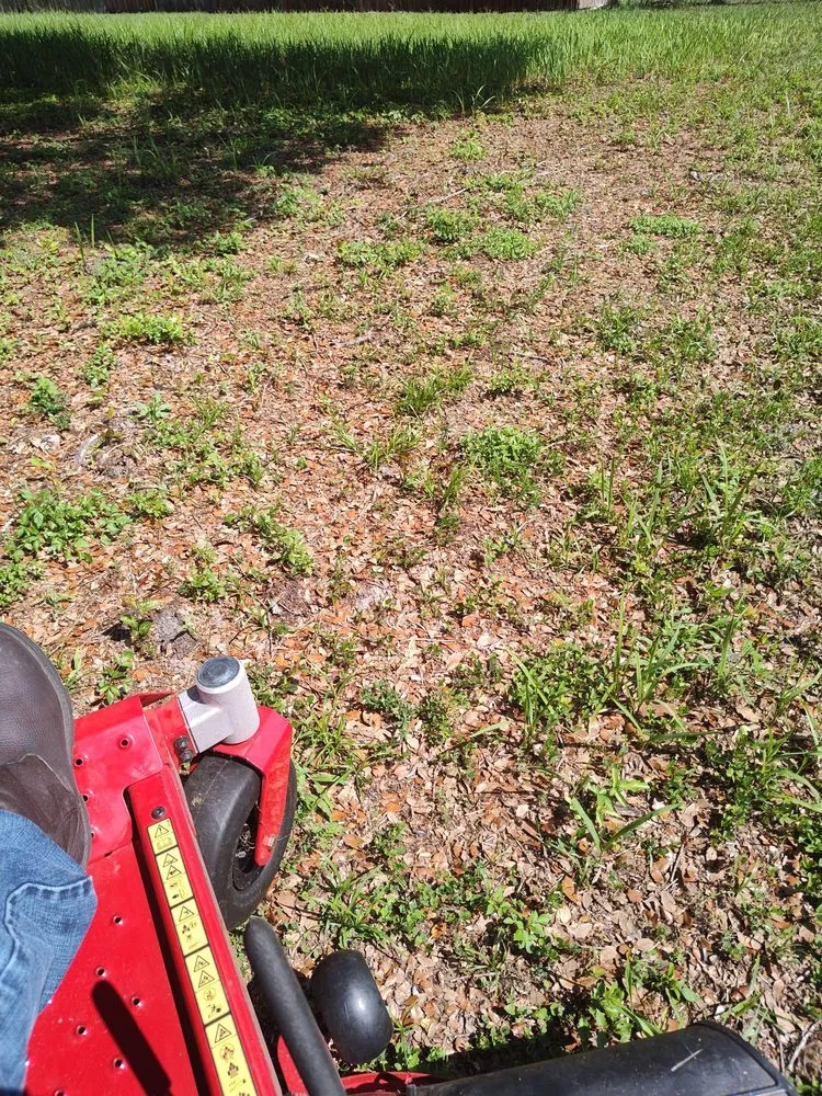 Trusted garden landscaping in Dade City, FL by Mowandfleet Express Service