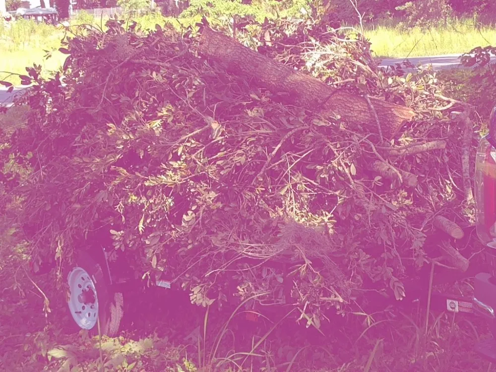 Local yard maintenance in Dade City, FL by Mowandfleet Express Service