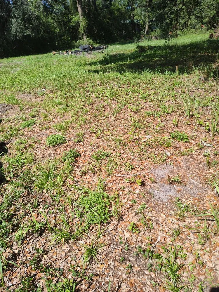 Custom yard maintenance for outdoor upgrades in Dade City, FL by Mowandfleet Express Service