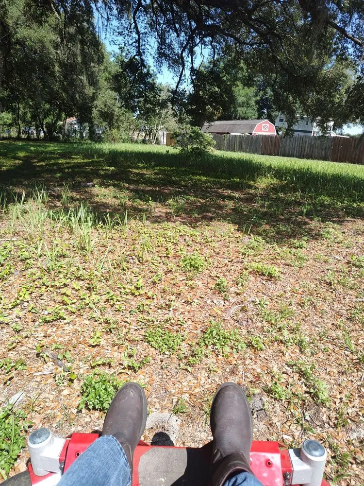 Top-rated yard cleanup service for beautiful yards in Dade City, FL by Mowandfleet Express Service