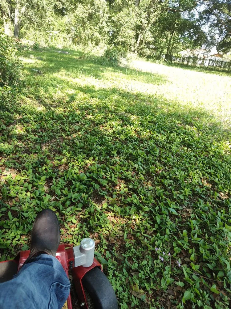 Local lawn mowing service with custom design in Dade City, FL by Mowandfleet Express Service