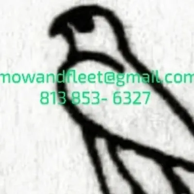 Mowandfleet Express Service Logo