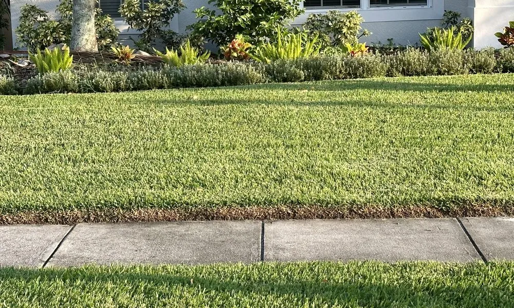 Local garden landscaping for homes across Wesley Chapel, FL - Mowasis Lawn Care Services