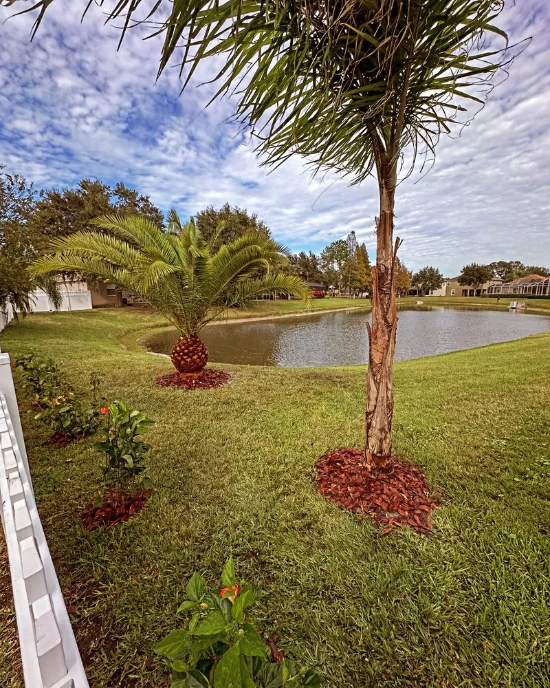 Custom landscaping services near you across Wesley Chapel, FL - Mowasis Lawn Care Services