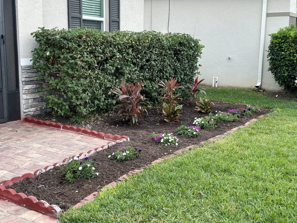 Reliable outdoor landscaping in Wesley Chapel, FL by Mowasis Lawn Care Services