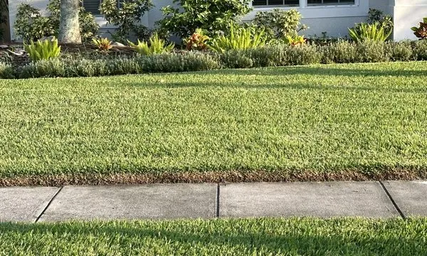 Mowasis Lawn Care Services Logo