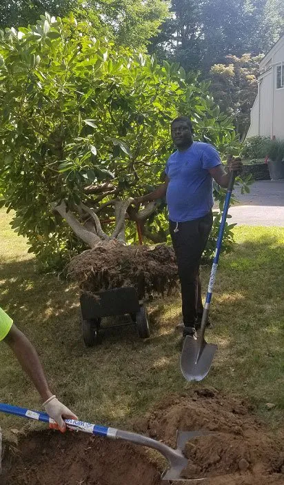 Local lawn care service with custom design in South Yarmouth, MA by Mowatt Landscaping