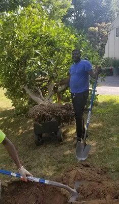 Mowatt Landscaping Logo